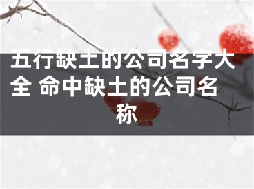 五行缺土的公司名字大全 命中缺土的公司名称