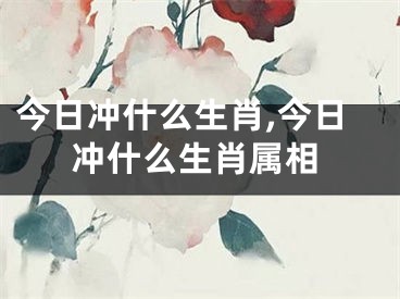 今日冲什么生肖,今日冲什么生肖属相