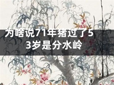 为啥说71年猪过了53岁是分水岭