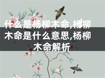 什么是杨柳木命,杨柳木命是什么意思,杨柳木命解析