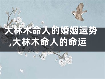 大林木命人的婚姻运势,大林木命人的命运