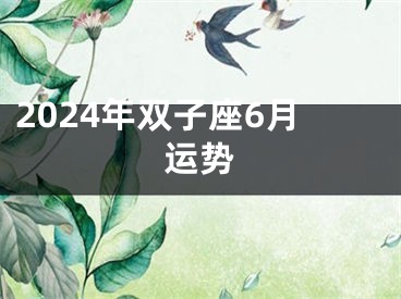 2024年双子座6月运势
