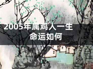 2005年属鸡人一生命运如何