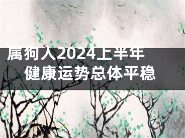 属狗人2024上半年健康运势总体平稳
