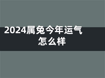 2024属兔今年运气怎么样