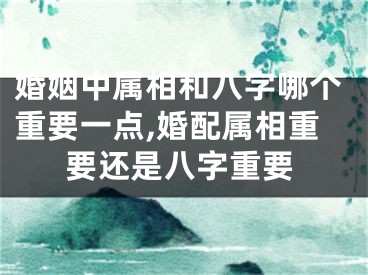 婚姻中属相和八字哪个重要一点,婚配属相重要还是八字重要