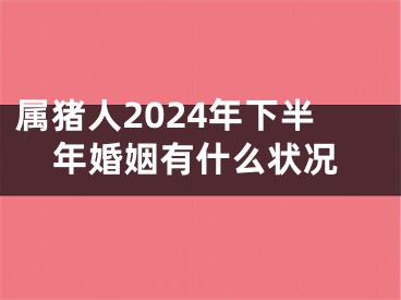 属猪人2024年下半年婚姻有什么状况