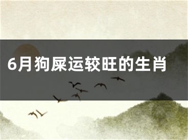 6月狗屎运较旺的生肖
