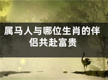 属马人与哪位生肖的伴侣共赴富贵