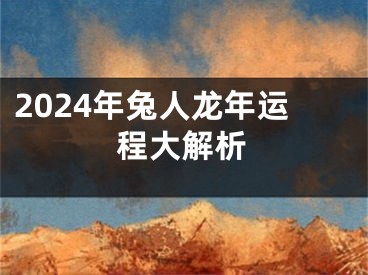 2024年兔人龙年运程大解析
