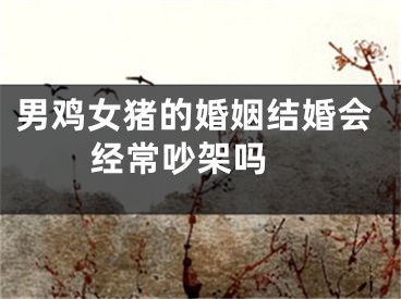 男鸡女猪的婚姻结婚会经常吵架吗 
