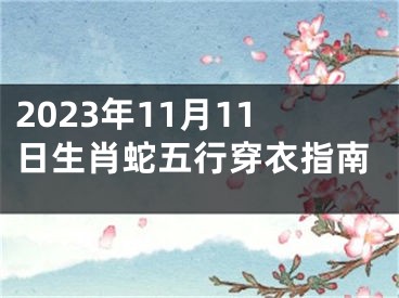 2023年11月11日生肖蛇五行穿衣指南