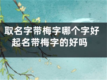 取名字带梅字哪个字好 起名带梅字的好吗