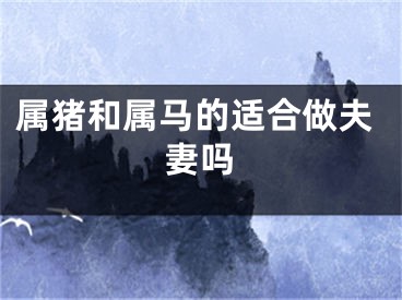 属猪和属马的适合做夫妻吗