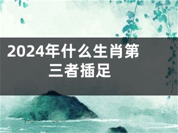 2024年什么生肖第三者插足 
