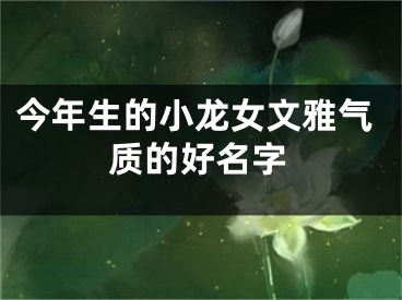 今年生的小龙女文雅气质的好名字