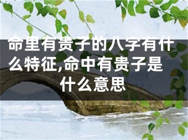 命里有贵子的八字有什么特征,命中有贵子是什么意思