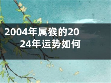 2004年属猴的2024年运势如何