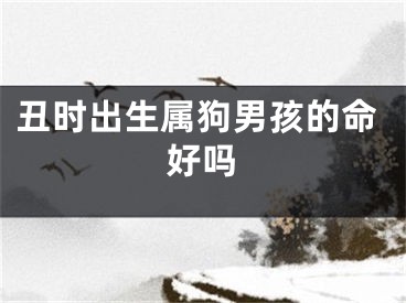 丑时出生属狗男孩的命好吗