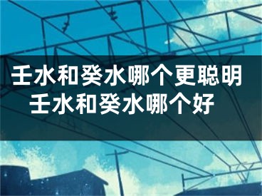 壬水和癸水哪个更聪明 壬水和癸水哪个好