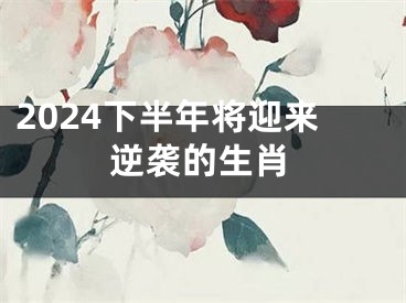 2024下半年将迎来逆袭的生肖