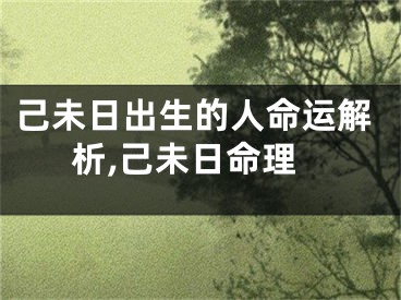 己未日出生的人命运解析,己未日命理