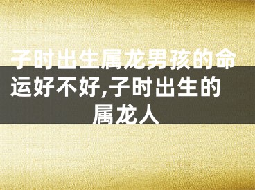 子时出生属龙男孩的命运好不好,子时出生的属龙人