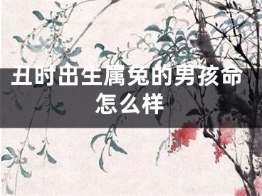 丑时出生属兔的男孩命怎么样