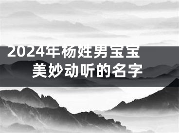 2024年杨姓男宝宝美妙动听的名字
