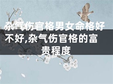 杂气伤官格男女命格好不好,杂气伤官格的富贵程度
