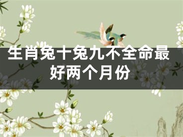 生肖兔十兔九不全命最好两个月份