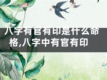八字有官有印是什么命格,八字中有官有印