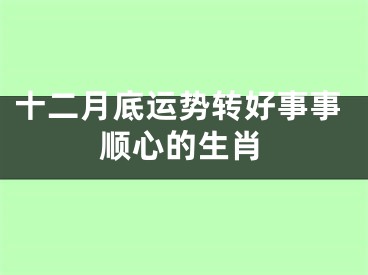 十二月底运势转好事事顺心的生肖