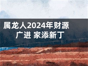 属龙人2024年财源广进 家添新丁