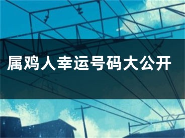 属鸡人幸运号码大公开
