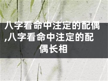 八字看命中注定的配偶,八字看命中注定的配偶长相