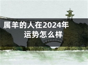 属羊的人在2024年运势怎么样