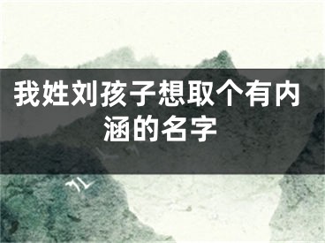 我姓刘孩子想取个有内涵的名字