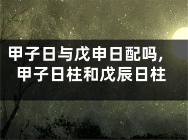 甲子日与戊申日配吗,甲子日柱和戊辰日柱