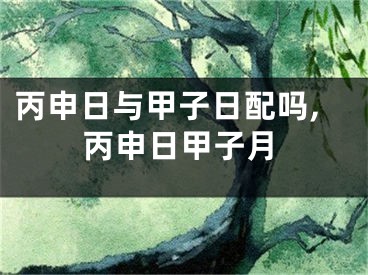 丙申日与甲子日配吗,丙申日甲子月