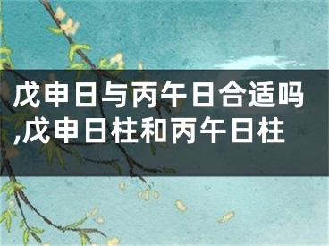 戊申日与丙午日合适吗,戊申日柱和丙午日柱