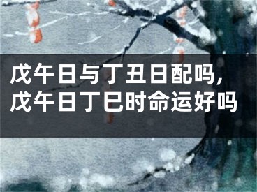 戊午日与丁丑日配吗,戊午日丁巳时命运好吗