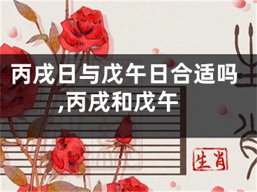 丙戌日与戊午日合适吗,丙戌和戊午