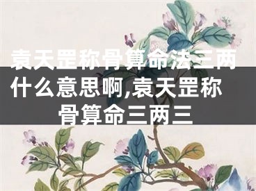 袁天罡称骨算命法三两什么意思啊,袁天罡称骨算命三两三