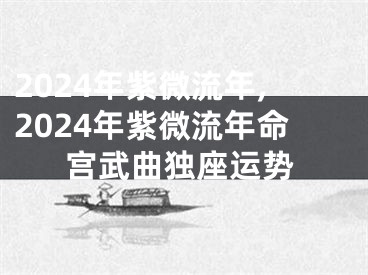 2024年紫微流年,2024年紫微流年命宫武曲独座运势