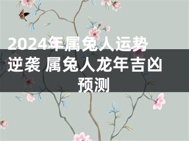 2024年属兔人运势逆袭 属兔人龙年吉凶预测