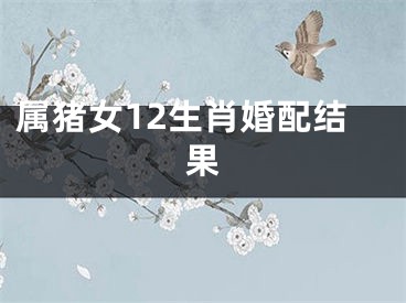 属猪女12生肖婚配结果