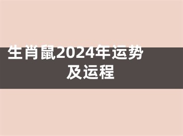生肖鼠2024年运势及运程