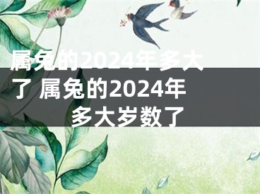 属兔的2024年多大了 属兔的2024年多大岁数了