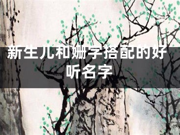 新生儿和姗字搭配的好听名字